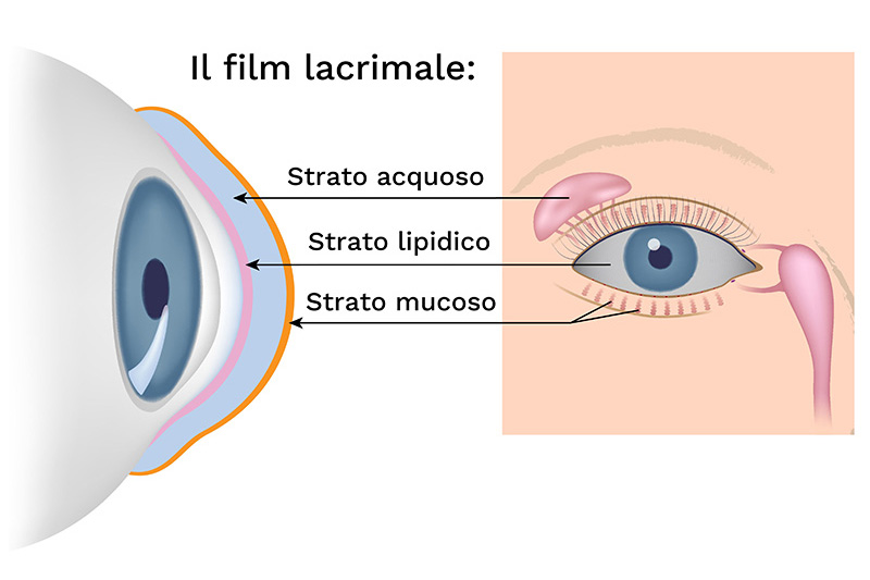 Il-Film-lacrimale_gli-strati-2
